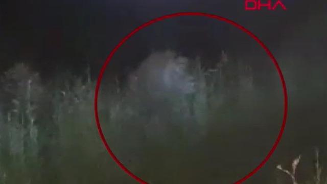 Aslan saldırısına uğrayan şahıs konuştu! O anları anlattı: Boynumdan ısırırken boynunu elime geçirdim