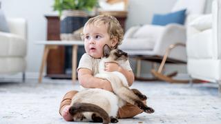 Evcil hayvanlar sadece oyun arkadaşı değil: Bebeklerde bağışıklığı güçlendiriyor, empatiyi artırıyor! Uzmanlar uyarıyor...