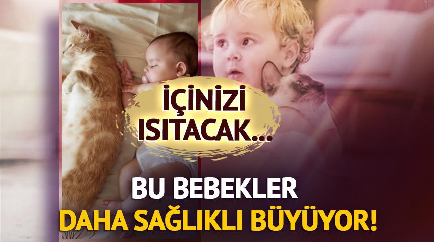 Bebeklerde bağışıklığı güçlendiriyor...