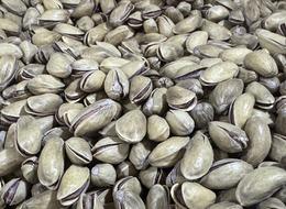 'Gelişmeler gerçekten sevindirici' Antep fıstığı ihracatı yılın ilk yarısında yüzde 17 arttı