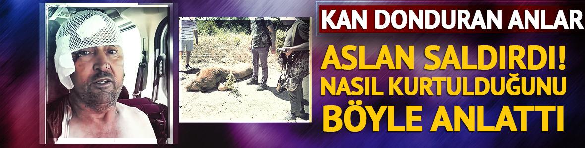 Aslan saldırısına uğrayan şahıs konuştu! O anları anlattı: Boynumdan ısırırken boynunu elime geçirdim
