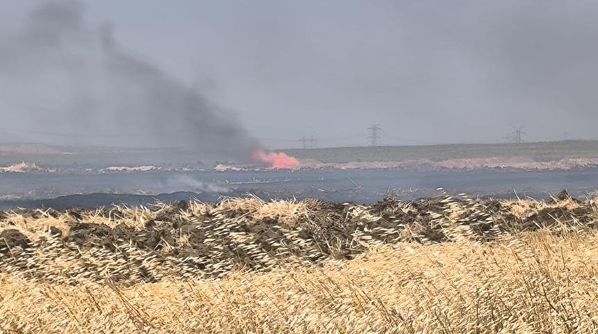 Silivri'de arazide çıkan yangın söndürüldü