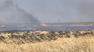 Silivri'de arazide çıkan yangın söndürüldü