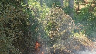 İznik’te orman yangını büyümeden söndürüldü