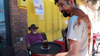 Omuzlarda geziyor! Ökkeş adlı iguana beldenin maskotu oldu