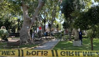 Kocaeli'de üzerlerine ağaçtan kopan dal düşen 3 kişi yaralandı