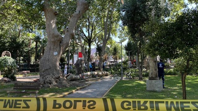 Kocaeli'de üzerlerine ağaçtan kopan dal düşen 3 kişi yaralandı