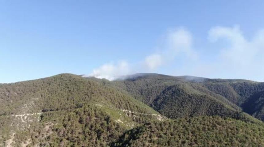 Kastamonu-Çankırı sınırında yangın! Ekipler sevk edildi