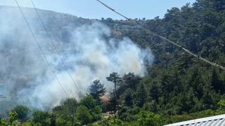 Mersin'de orman yangını! 1 dönümlük alan yandı