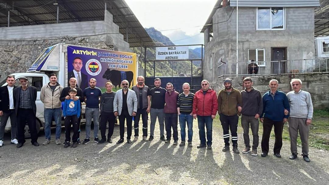  Kadıköy Boğası  kaybetti! Başkan Ali Koç sponsorluğundaki boğa Artvin’de düzenlenen festivalde mağlup oldu... 1