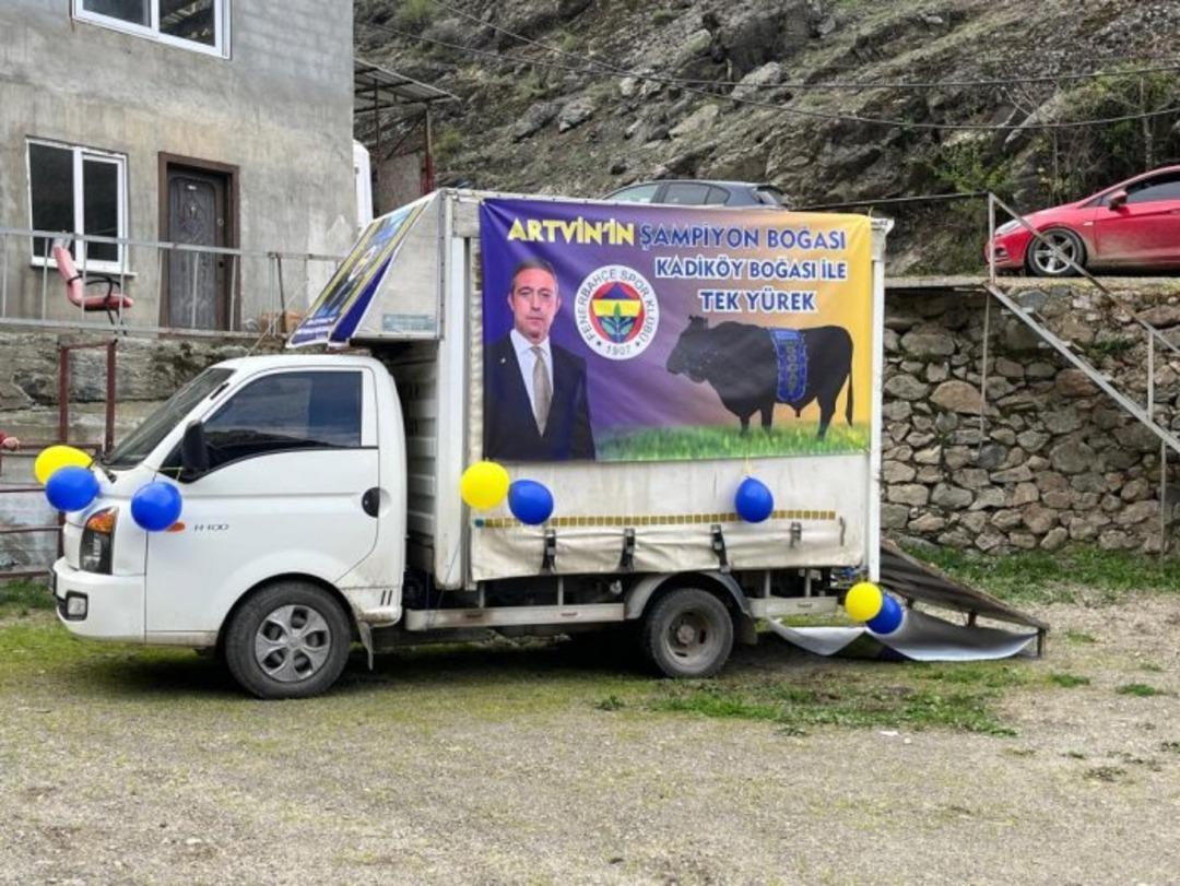  Kadıköy Boğası  kaybetti! Başkan Ali Koç sponsorluğundaki boğa Artvin’de düzenlenen festivalde mağlup oldu... 2