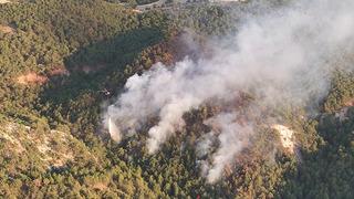 Bolu'da orman yangını! Büyük ölçüde kontrol altına alındı