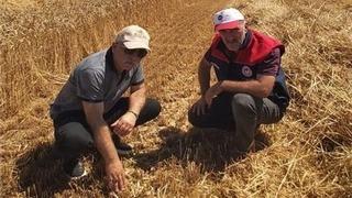 Düzce’de verimli hasat için yerinde denetim