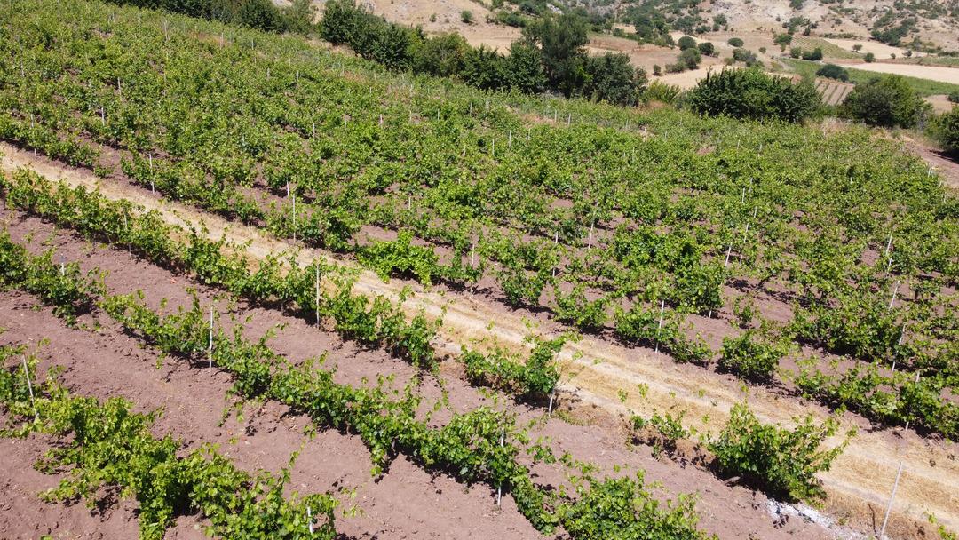 Nöbet tutmaya başladılar!  İlk defa başımıza geldi  1 hafta içinde 10 kişi mağdur oldu 2