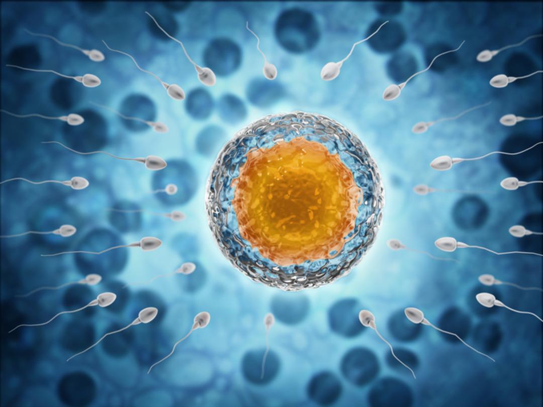 “Çocuğunuz olamaz” dedikleri çift, yapay zeka sayesinde 20 yıl sonra hamile kaldı: “Her gün bunun gerçek olduğuna inanamıyorum" 1 saatte 8 milyon sperm inceledi... 2