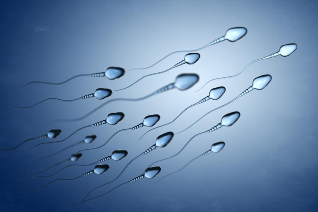 “Çocuğunuz olamaz” dedikleri çift, yapay zeka sayesinde 20 yıl sonra hamile kaldı: “Her gün bunun gerçek olduğuna inanamıyorum" 1 saatte 8 milyon sperm inceledi... 4