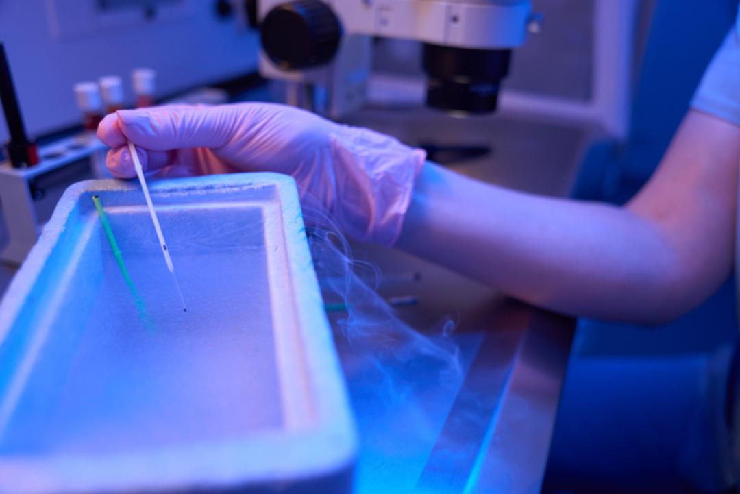 “Çocuğunuz olamaz” dedikleri çift, yapay zeka sayesinde 20 yıl sonra hamile kaldı: “Her gün bunun gerçek olduğuna inanamıyorum" 1 saatte 8 milyon sperm inceledi... 3