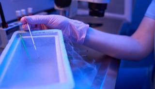 17 yıl sperm bağışladı, doğan bebekler kanser oldu! 