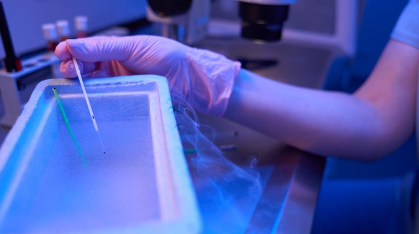 17 yıl sperm bağışladı, doğan bebekler kanser oldu! 