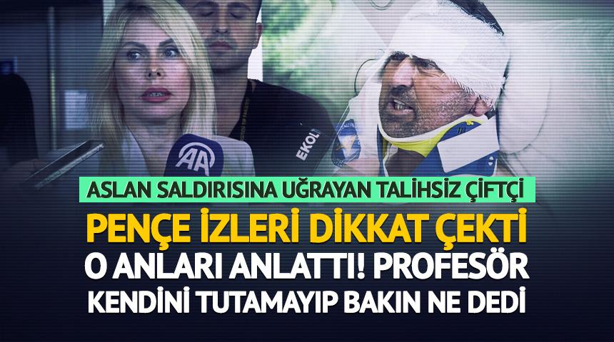 Aslan saldırısına uğrayan çiftçi o anları anlattı!