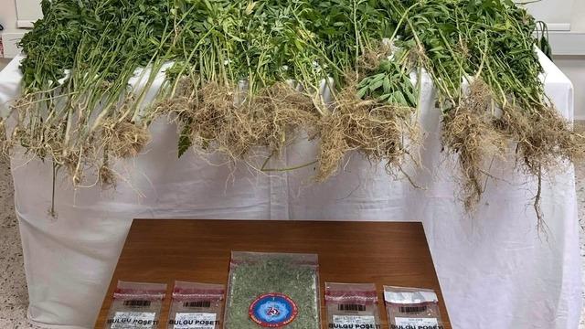 Denizli'de uyuşturucu operasyonu! 1 şüpheli tutuklandı