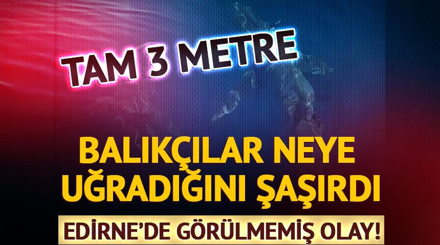 Edirne'de korku dolu anlar! Balıkçılar neye uğradığını şaşırdı