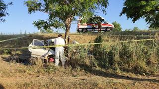 Konya'da feci kaza! Otomobil, ağaca çarptı: 1 ölü, 2 yaralı