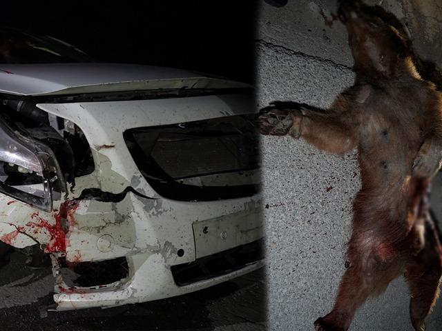 Bir anda önüne fırladı: Şoför hayatının şokunu yaşadı!