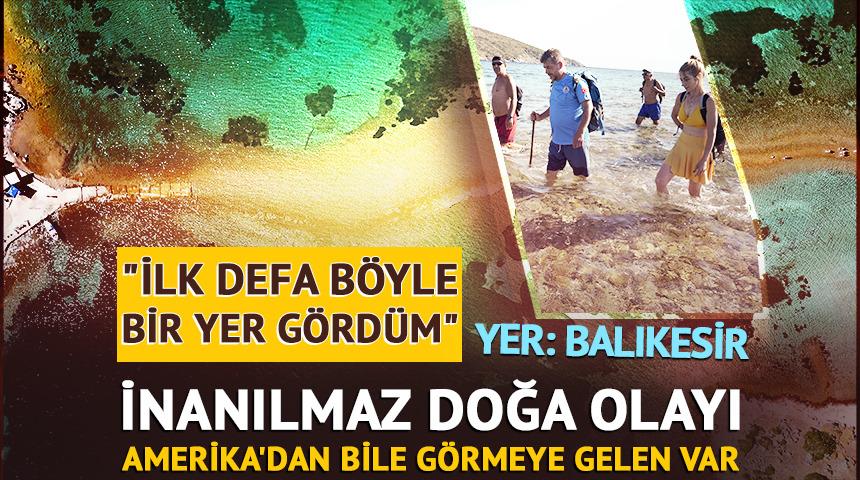 Yer: Balıkesir! İnanılmaz doğa olayı: Amerika'dan bile gelen var...