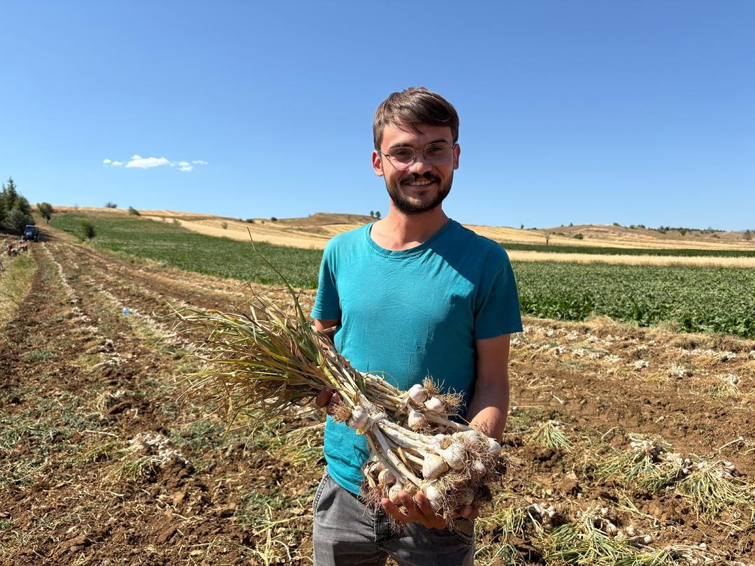 20 günde asgari ücretten fazlan kazanıyorlar! Fiyatı boy boy değişiyor, 230 liraya kadar var!  2