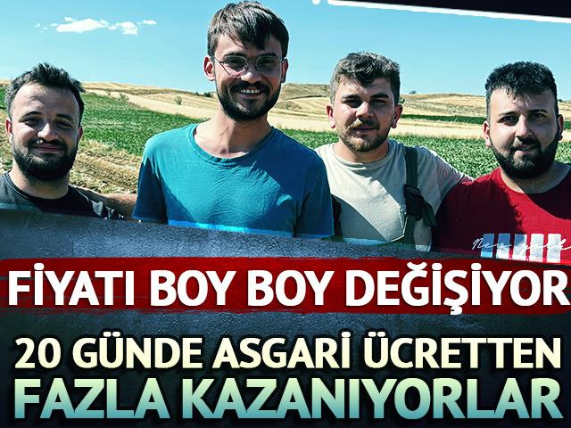 20 günde asgari ücretten fazlan kazanıyorlar!