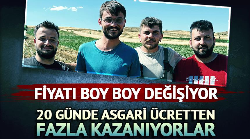 20 günde asgari ücretten fazlan kazanıyorlar!