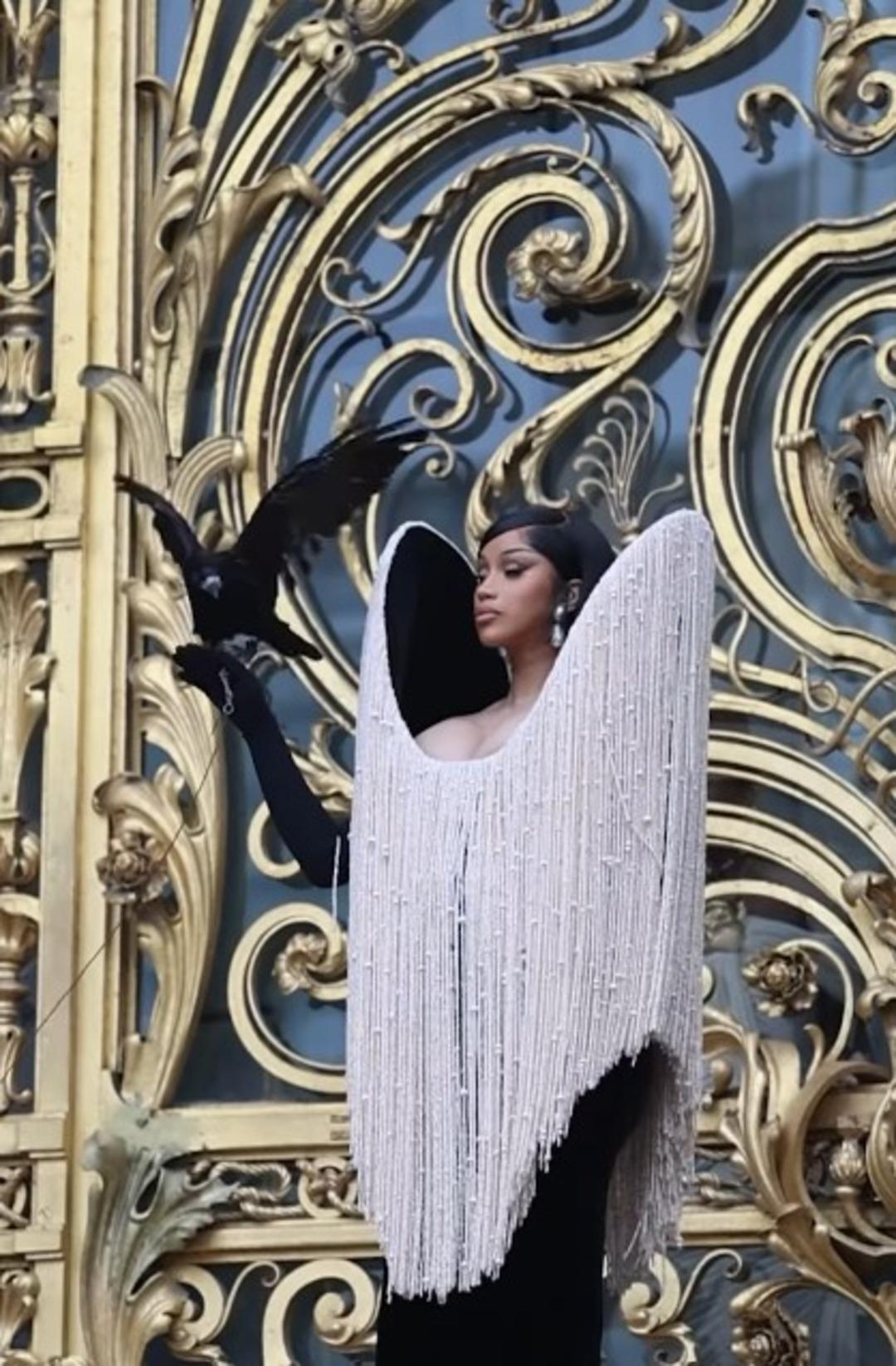 CARDİ 2 CARDİ 2