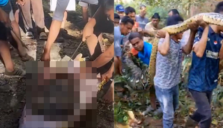Piton, 61 yaşındaki adamı yuttu! Köylüler tesadüfen buldu! Dehşet anları kamerada...
