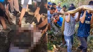 8 buçuk metrelik piton, 61 yaşındaki adamı yuttu! Köylüler şişen yılanı tesadüf buldu...