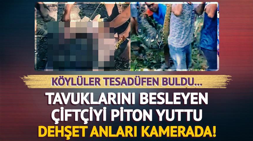 Piton, 61 yaşındaki adamı yuttu! Köylüler tesadüfen buldu! Dehşet anları kamerada...