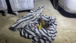 Çöp konteynerindeki yangın sonrası köpeğin telef olduğu ortaya çıktı