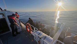 Datça’da 1 göçmen kaçakçısı yakalandı, 15 düzensiz göçmen kurtarıldı