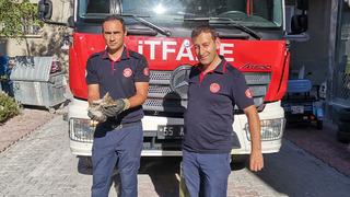 İtfaiye ekiplerinden yavru kedi kurtarma operasyonu