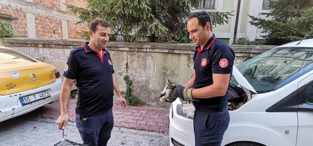 1200xauto İtfaiye ekiplerinden yavru kedi kurtarma operasyonu