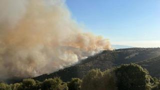 Orman yangınları devam ediyor! Manisa'daki yangın Uşak'a doğru ilerliyor