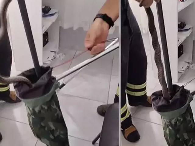 Osmaniye'de aile sağlığı merkezinde yılan paniği!