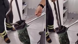 Osmaniye'de aile sağlığı merkezinde yılan paniği!