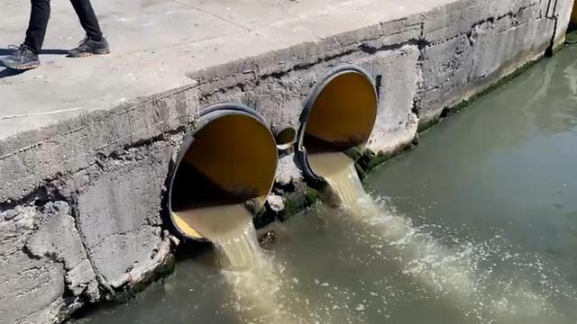 Marmara'da müsilaj denetimleri sürüyor! BASKİ'ye 6.6 milyon TL ceza