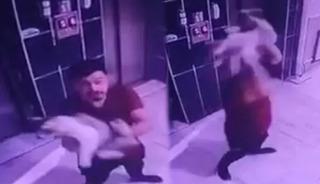 Hamile kediye eziyet: Kaldırıp yere fırlattı!