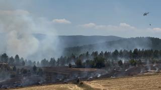 İzmir'de kabus yeniden başladı! Yangın hızla büyüyor