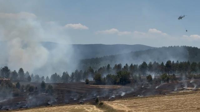 İzmir'de kabus yeniden başladı! Yangın hızla büyüyor