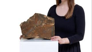 En büyük Mars parçası rekor fiyata satılıyor! 25 kilodan fazla...