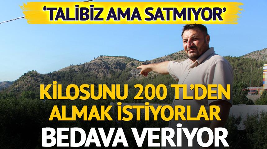 Kilosunu 200 TL'den almak istiyorlar, bedava veriyor! 'Satmıyor'