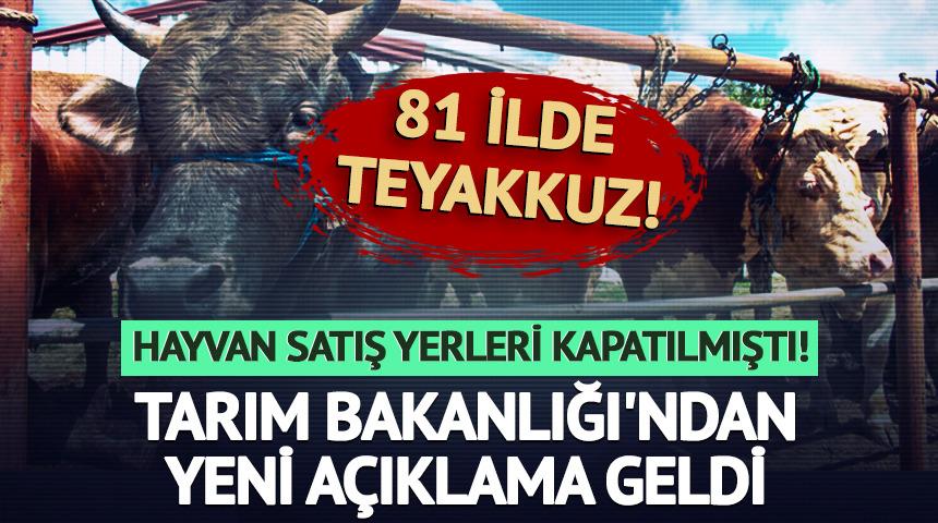 Bakanlıktan şap hastalığı hakkında açıklama!